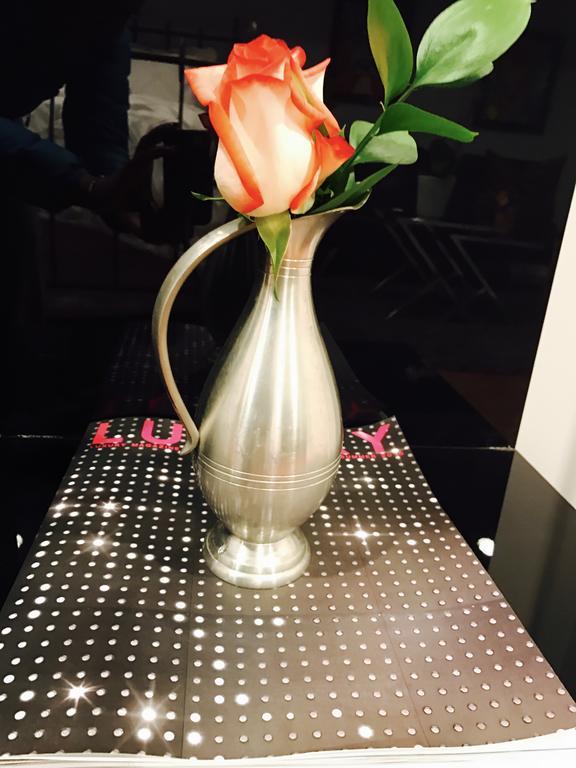 וושינגטון Studio H St Corridor מראה חיצוני תמונה