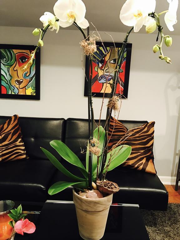 וושינגטון Studio H St Corridor מראה חיצוני תמונה